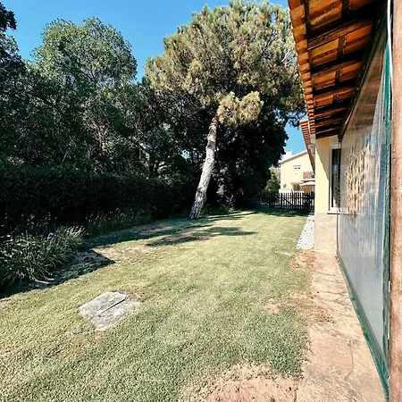 Casa Girassol With A Beautiful Private Pool And Garden Синтра