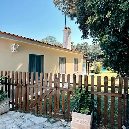 Casa Girassol With A Beautiful Private Pool And Garden