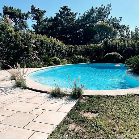 Casa Girassol With A Beautiful Private Pool And Garden Sintra